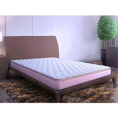 sleepwell back support mattress