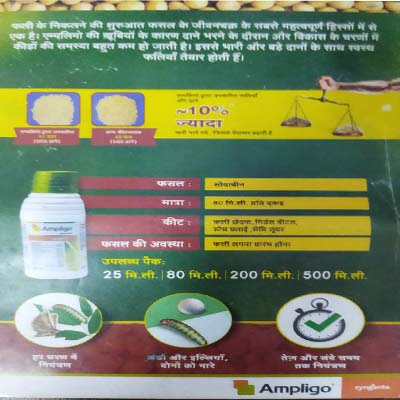 Ampligo Syngenta