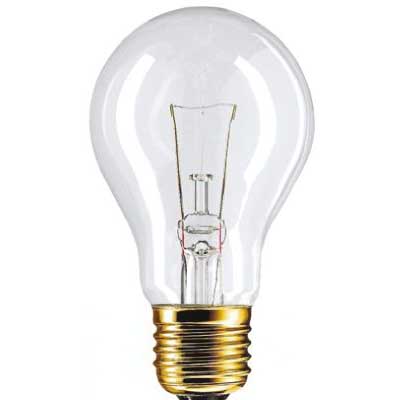 Bulb