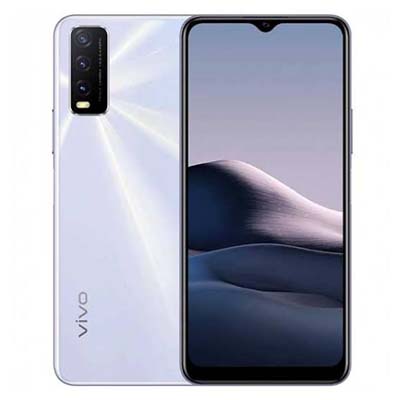 Vivo  Y20G