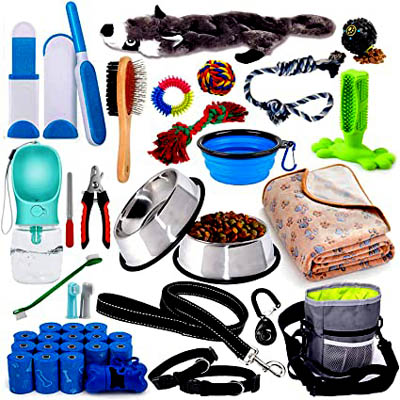 DOG CARE ACCESSORIES