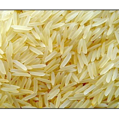 1121 Golden Sela