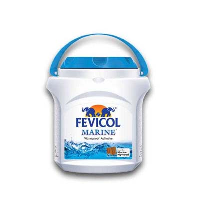 Fevicol