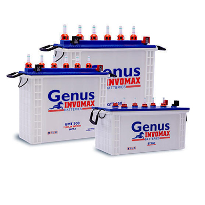 Inverter Battery