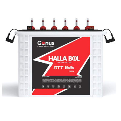 Inverter Battery