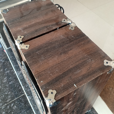 Double 10 inch mica spk