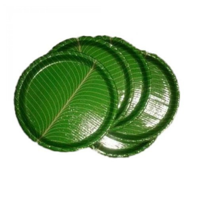  8 inch green Plate