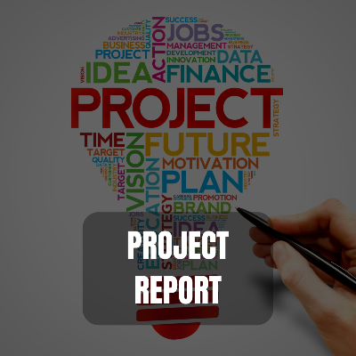 Project report 
