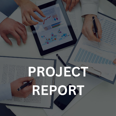 Project report 